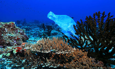 Great Barrier Reef influencer campaign